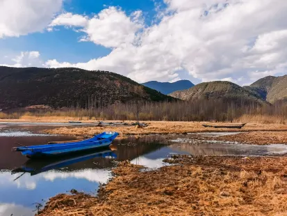 بوبي كازينو تطبيق الهاتف المحمول